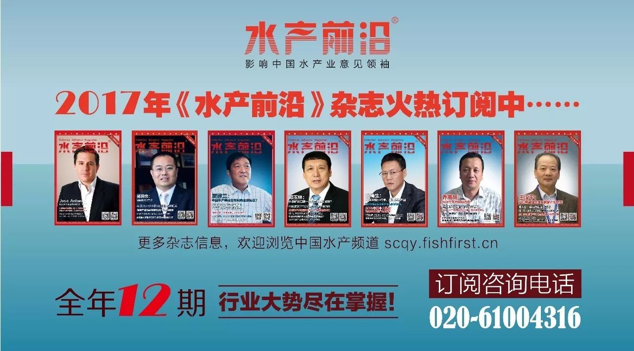 裴家同最新市场价格动态分析
