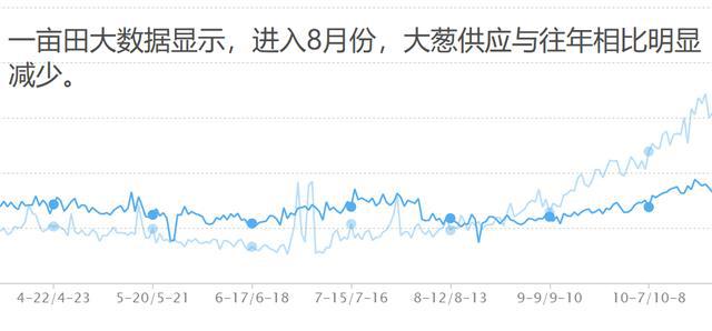 大葱批发价格的最新消息，市场走势与影响因素探讨