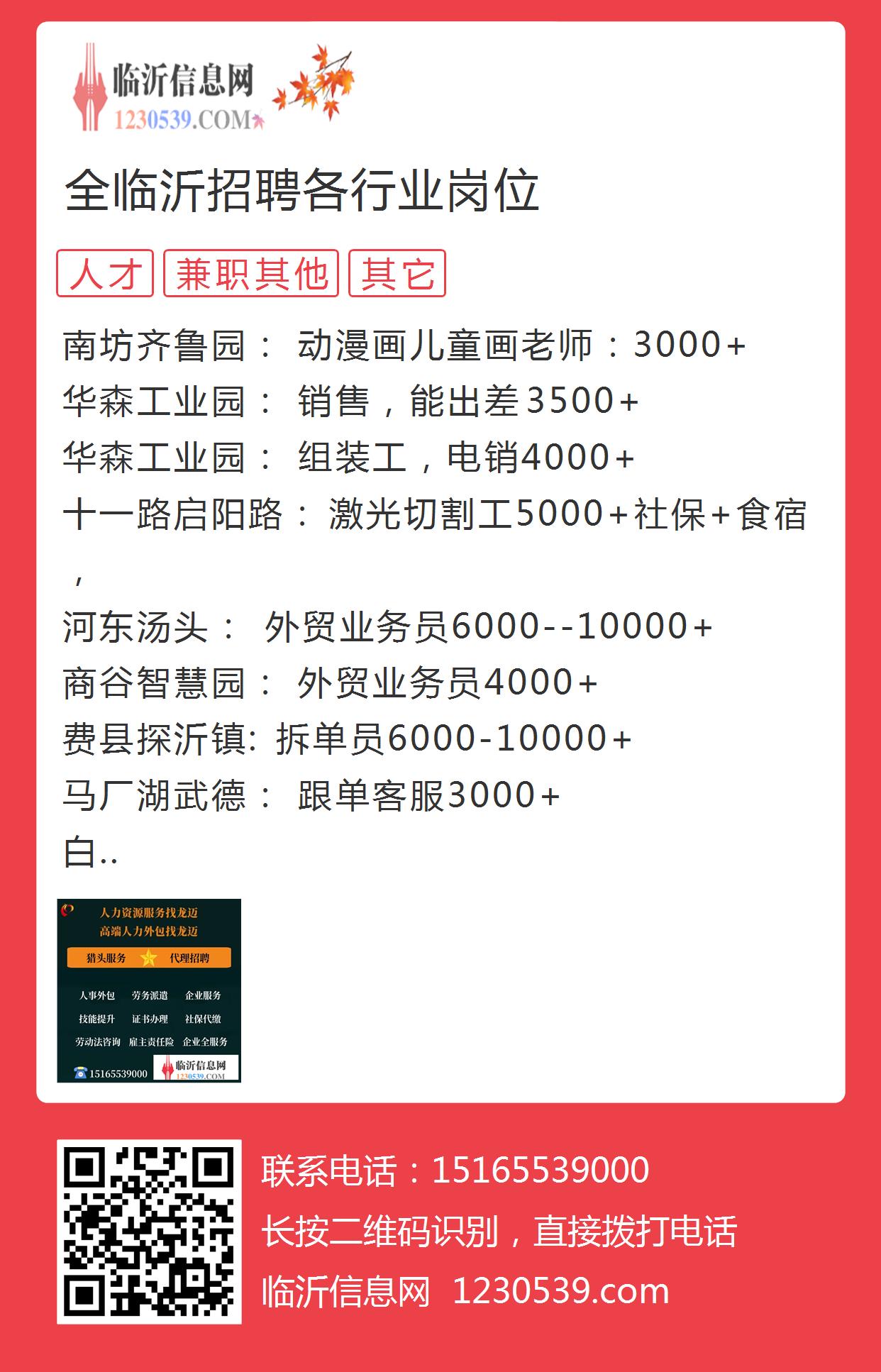 招聘启事新泰新汶地区最新招聘信息——探寻职业新机遇，共筑美好未来！