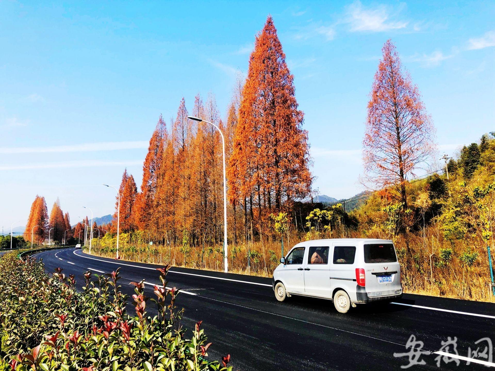 歙黟一级公路最新消息，建设进展与未来展望