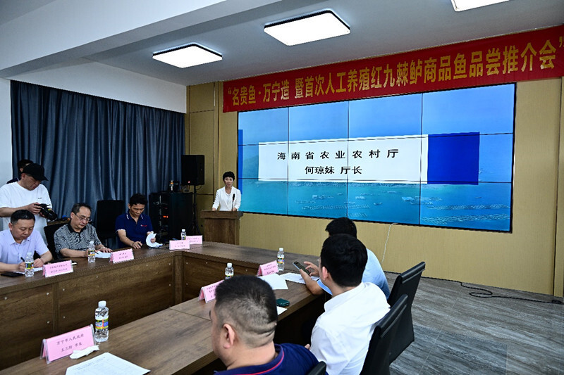 万宁市王德海最新取向，探索与突破