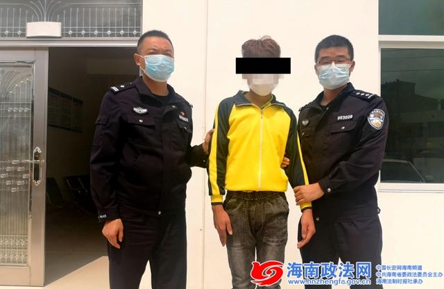 儋州最新网络诈骗案深度解析