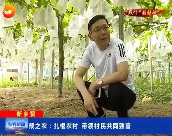 资讯 第33页